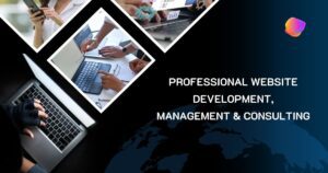 Professional Website Development, Management & Consulting